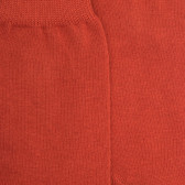 Chaussettes enfant en coton égyptien - Cuivre | Doré Doré