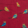 Chaussettes homme en coton motif hibou - Rouge amarante & Vert Campagne | Doré Doré