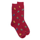 Chaussettes homme en coton motif hibou - Rouge amarante & Vert Campagne | Doré Doré