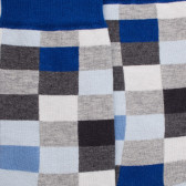 Chaussettes homme échiquier en coton - Gris Rocheux & Bleu | Doré Doré