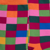Chaussettes femme échiqiuer en coton égyptien - Rose Flamboyant & Oranger | Doré Doré
