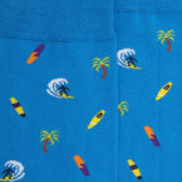 Chaussettes homme en coton doux Surf et Palmiers - Bleu | Doré Doré