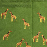 Chaussettes homme en coton à motifs girafes - Vert Campagne | Doré Doré