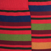 Chaussettes homme en coton avec motif rayure - Brique & vert thym | Doré Doré